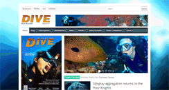 Desktop Screenshot of divenewzealand.co.nz